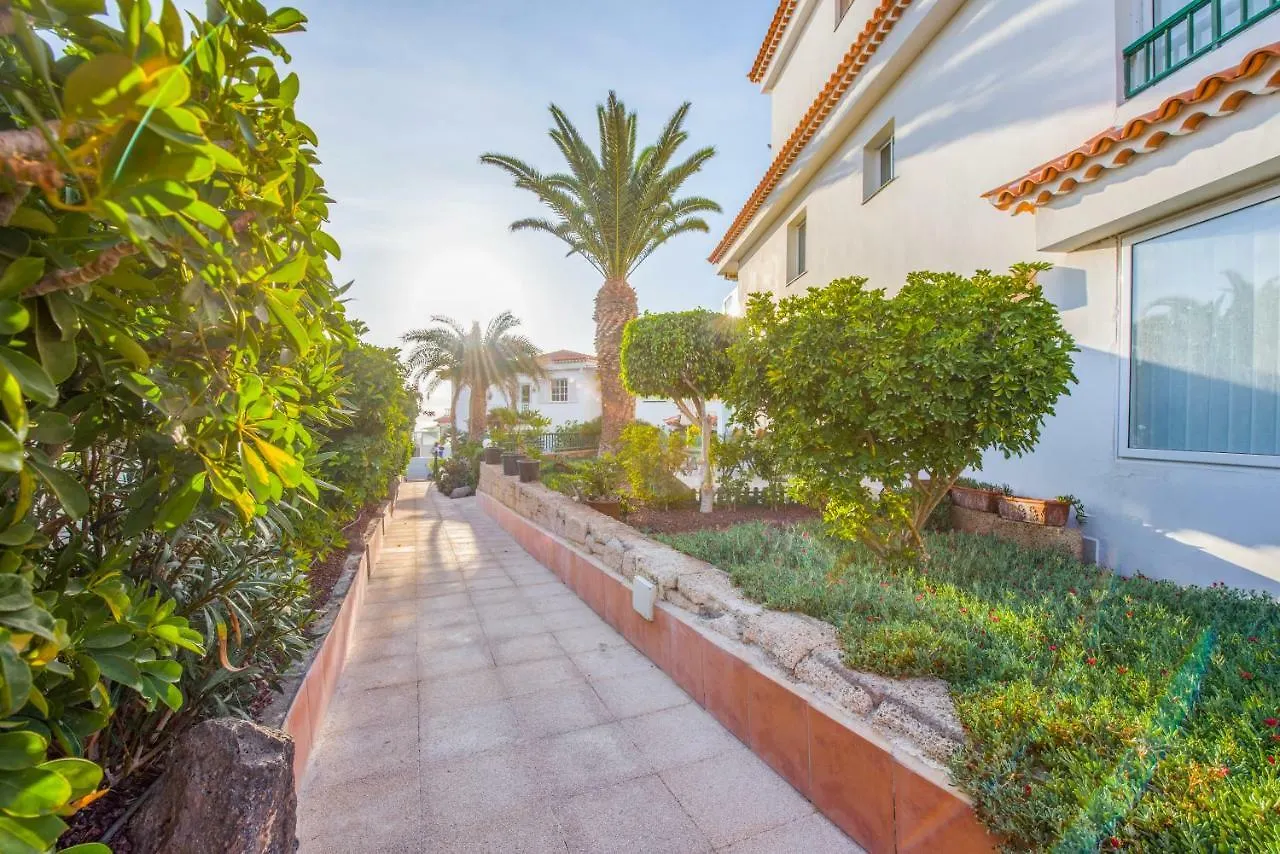Modern, Bright And Welcoming Oceanfront Apartment Puerto de Santiago   Puerto de Santiago (Tenerife)